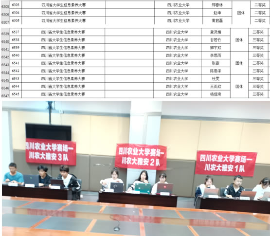 我校学生在2023年四川省大学生信息素养大赛中荣获佳绩