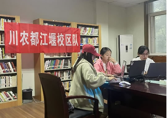 2024年大学生信息素养大赛省赛淘汰赛圆满落幕，川农有2支队伍晋级省赛决赛