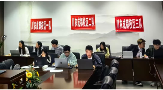 2024年大学生信息素养大赛省赛淘汰赛圆满落幕，川农有2支队伍晋级省赛决赛