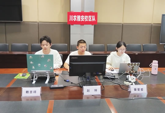 2024年大学生信息素养大赛省赛淘汰赛圆满落幕，川农有2支队伍晋级省赛决赛