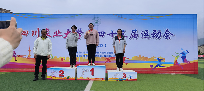 飒！运动会上图书档案人努力拼搏的身影