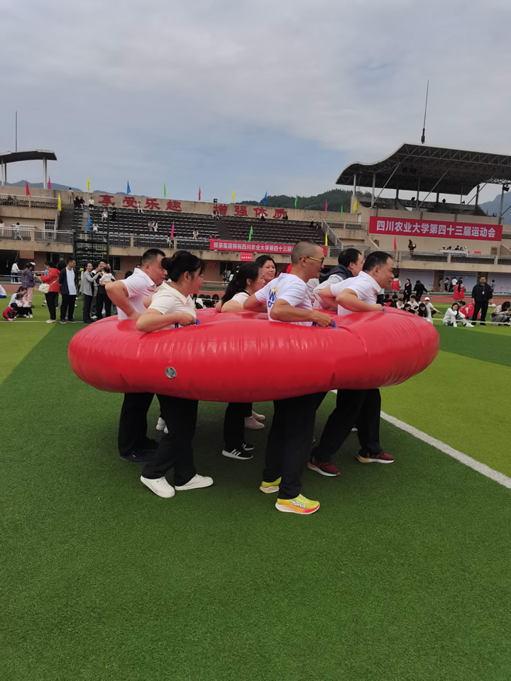 飒！运动会上图书档案人努力拼搏的身影