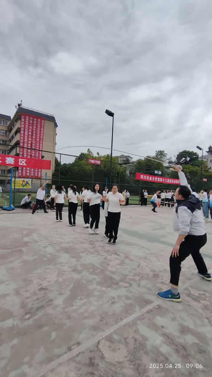 飒！运动会上图书档案人努力拼搏的身影