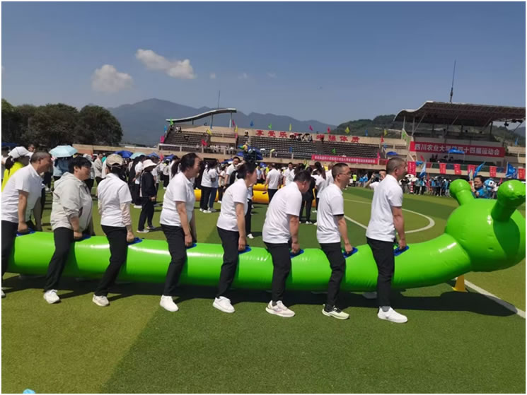 校运动会上图书与档案人拼搏迎校庆