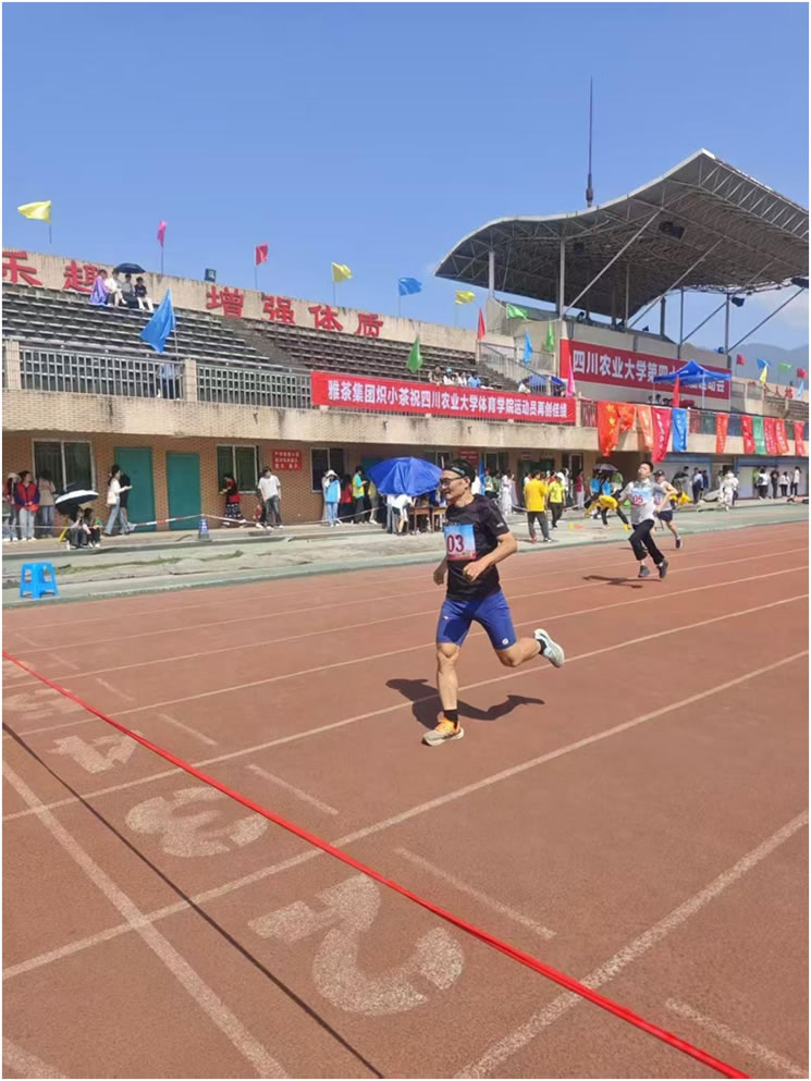 校运动会上图书与档案人拼搏迎校庆